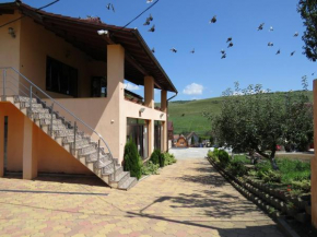 Hotels in Slimnic
